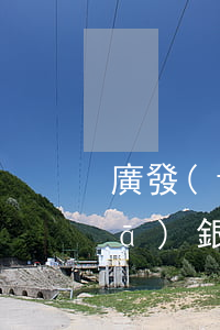 廣發(fā)信用卡逾期欠款處理(廣發(fā)銀行信用卡分期逾期怎么辦)