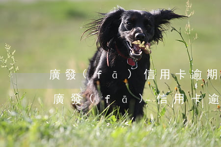 廣發(fā)信用卡逾期沒接到銀行電話-廣發(fā)信用卡逾期沒接到銀行電話怎么辦