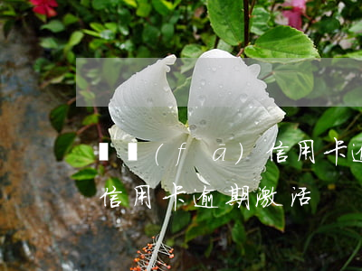 廣發(fā)信用卡逾期激活 廣發(fā)信用卡逾期激活