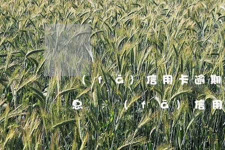 廣發(fā)信用卡逾期申請(qǐng)減息(廣發(fā)信用卡逾期怎么協(xié)商減免)