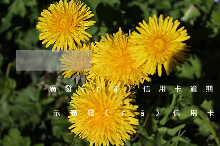 廣發(fā)信用卡逾期發(fā)立案提示(廣發(fā)信用卡 投訴)