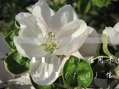 廣發(fā)信用卡逾期發(fā)送律師涵(廣發(fā)信用卡逾期發(fā)送律師涵)