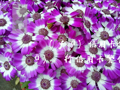 廣發(fā)信用卡逾期短信模板(廣發(fā)銀行信用卡警告短信)