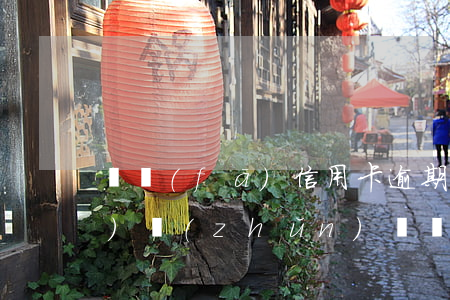 廣發(fā)信用卡逾期立案標(biāo)準(zhǔn)(廣發(fā)信用卡逾期立案標(biāo)準(zhǔn))