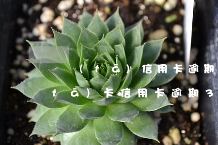 廣發(fā)信用卡逾期能取消嗎6(廣發(fā)卡信用卡逾期3天)