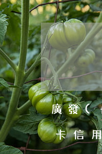 廣發(fā)信用卡逾期處理(廣發(fā)卡信用卡逾期3天)