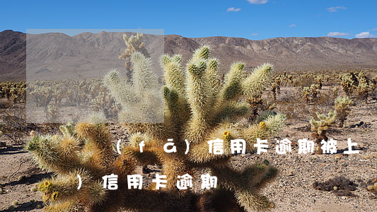 廣發(fā)信用卡逾期被上訴(廣發(fā)信用卡 逾期)