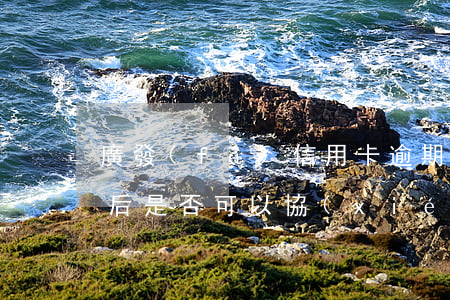 廣發(fā)信用卡逾期被凍結(jié)后是否可以協(xié)商還款