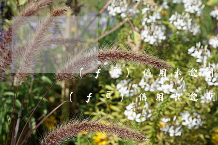 廣發(fā)信用卡逾期要交五百意向金 廣發(fā)信用卡逾期要交五百意向金
