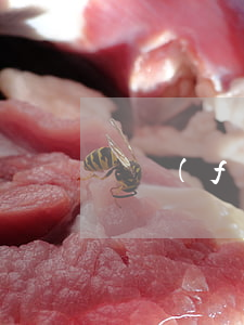 廣發(fā)信用卡逾期討論吧