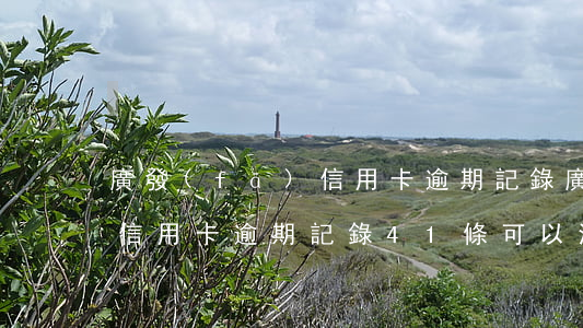 廣發(fā)信用卡逾期記錄(廣發(fā)信用卡逾期記錄41條可以消除嗎)