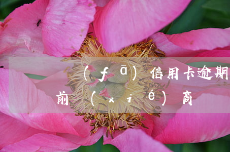廣發(fā)信用卡逾期說(shuō)庭前協(xié)商