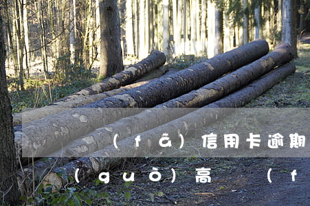 廣發(fā)信用卡逾期費(fèi)用過(guò)高(廣發(fā)卡信用卡逾期1天)
