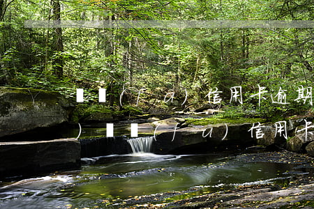 廣發(fā)信用卡逾期超過5萬(wàn)(廣發(fā)信用卡逾期超過5萬(wàn))