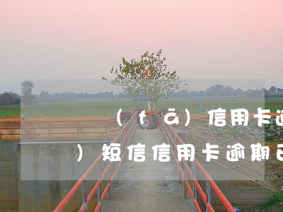 廣發(fā)信用卡逾期通知短信(發(fā)短信信用卡逾期已立案)