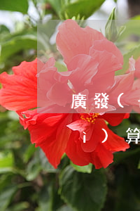 廣發(fā)信用卡逾期違約金怎么計(jì)算(廣發(fā)銀行違約金多少)