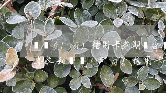 廣發(fā)信用卡逾期遞件報(bào)案(收到廣發(fā)信用卡提示)