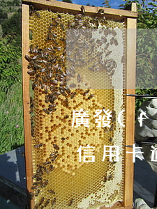 廣發(fā)信用卡逾期還款(廣發(fā)信用卡逾期還款怎么申請(qǐng)利息全免?)