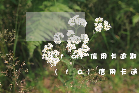 廣發(fā)信用卡逾期還清后還能用嗎-廣發(fā)信用卡逾期還清后還能用嗎知乎