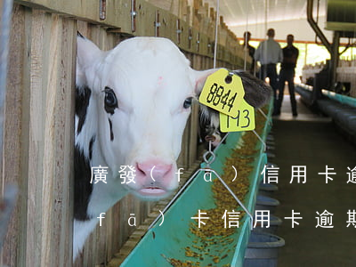 廣發(fā)信用卡逾期都怎么處理(廣發(fā)卡信用卡逾期3天)