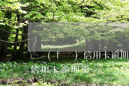 廣發(fā)信用卡逾期重組(廣發(fā)信用卡逾期重組)