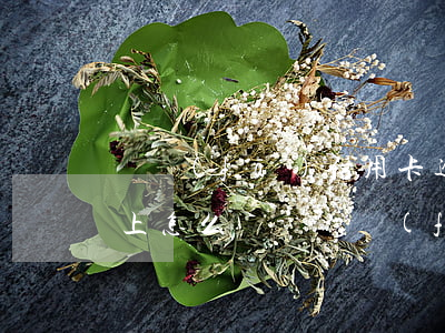 廣發(fā)信用卡逾期關(guān)不上怎么辦-廣發(fā)卡逾期還清了是不是要注銷不能使用了