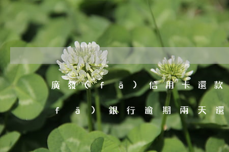 廣發(fā)信用卡還款逾期的利率(廣發(fā)銀行逾期兩天還款對信用有影響嗎)