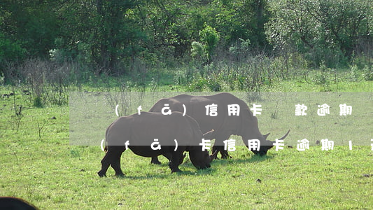 廣發(fā)信用卡還款逾期記錄怎么辦(廣發(fā)卡信用卡逾期1天)