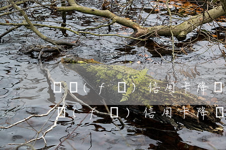 廣發(fā)信用卡降額逾期還不出來了(廣發(fā)信用卡降額逾期還不出來了怎么回事)