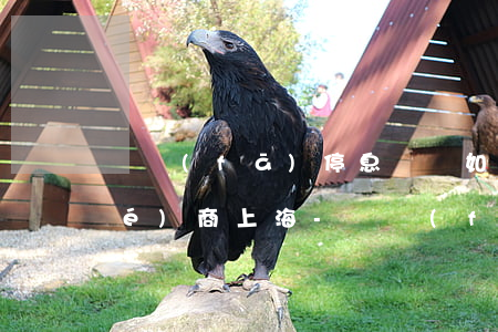 廣發(fā)停息掛賬如何跟銀行協(xié)商上海-廣發(fā)申請停息掛賬打哪個電話