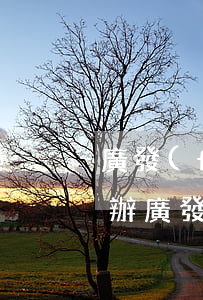 廣發(fā)協(xié)商停息掛賬怎么辦(廣發(fā)銀行怎么申請停息掛賬)