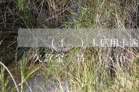 廣發(fā)卡信用卡逾期1天（信用卡逾期欠款金額持續(xù)增加廣發(fā)）