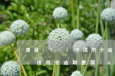 廣發(fā)卡信用卡逾期1天（廣發(fā)信用卡逾期要開(kāi)庭）