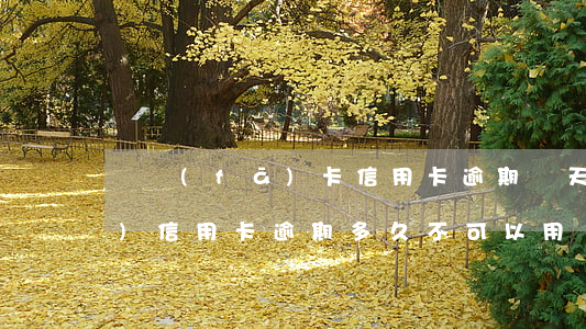 廣發(fā)卡信用卡逾期幾天(廣發(fā)信用卡逾期多久不可以用)