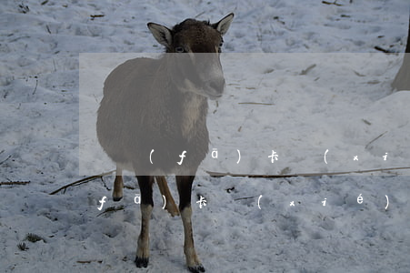 廣發(fā)卡協(xié)商還款(廣發(fā)卡協(xié)商還款成功卡還能用嗎)