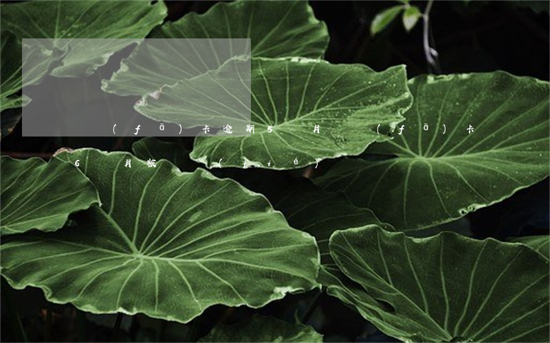 廣發(fā)卡逾期5個月(廣發(fā)卡6個月被凍結(jié))