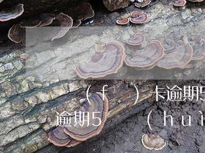 廣發(fā)卡逾期5萬-廣發(fā)卡逾期5萬會(huì)起訴嗎
