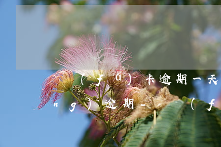 廣發(fā)卡逾期一天電話說已經(jīng)逾期-廣發(fā)逾期3天打電話說12.半之前不還款移交下個(gè)部門