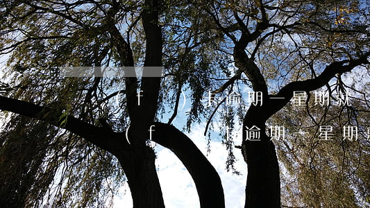 廣發(fā)卡逾期一星期就讓還清欠款-廣發(fā)卡逾期一星期就讓還清欠款怎么辦