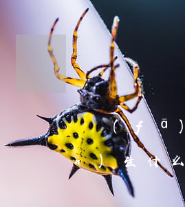 廣發(fā)卡逾期了忘了還了產(chǎn)生什么費(fèi)-廣發(fā)卡逾期了忘了還了產(chǎn)生什么費(fèi)用