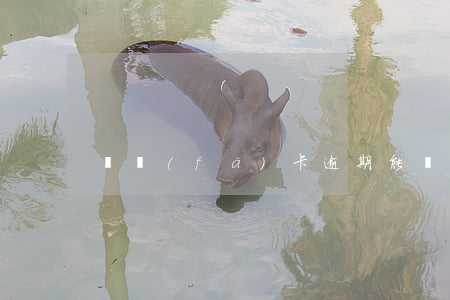 廣發(fā)卡逾期能辦信用卡吧
