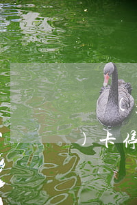 廣發(fā)好申請停息掛賬么(廣發(fā)卡停息掛賬可以人工客服辦理嗎?)