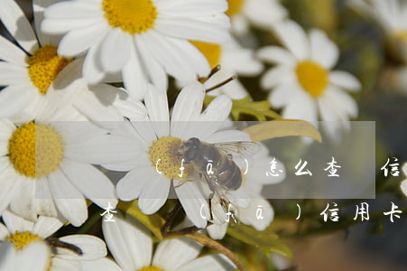 廣發(fā)怎么查詢信用卡是否逾期(怎么查廣發(fā)信用卡還款日期)