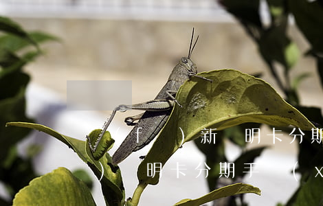 廣發(fā)新聰明卡分期免息-廣發(fā)聰明卡分期手續(xù)費(fèi)