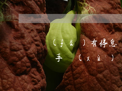 廣發(fā)有停息掛賬 廣發(fā)停息掛賬 手續(xù)費(fèi)