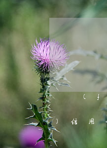 廣發(fā)生意紅貸款逾期群(廣發(fā)信用卡分期逾期怎么辦)