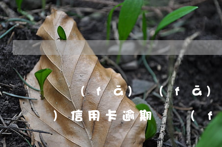 廣發(fā)發(fā)短信說(shuō)信用卡逾期(廣發(fā)卡信用卡逾期3天)