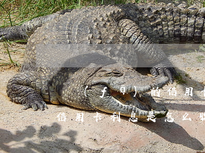 廣發(fā)的信用卡利息是(廣發(fā)信用卡利息是怎么收費(fèi)的)