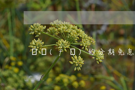 廣發(fā)的分期免息靠譜么