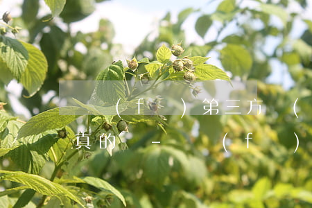 廣發(fā)第三方協(xié)商還款是真的嗎-廣發(fā)第三方協(xié)商還款是真的嗎還是假的
